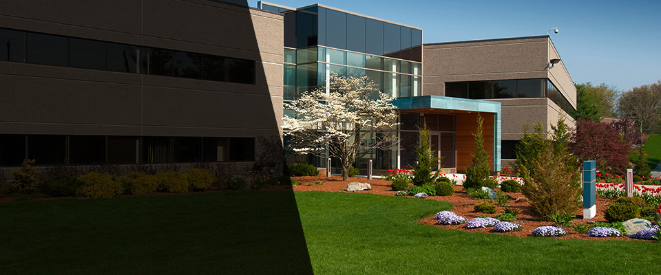 Kirkwood Landscapers