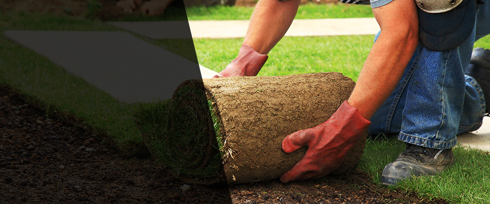 Kirkwood Landscapers